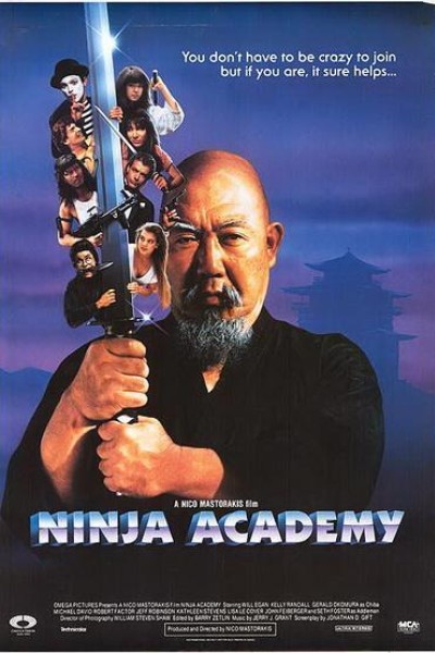 Cubierta de Academia de Ninjas