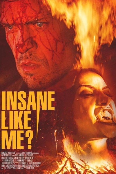 Caratula, cartel, poster o portada de Insane Like Me?