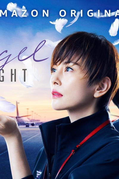 Caratula, cartel, poster o portada de Angel Flight