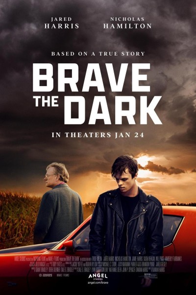 Caratula, cartel, poster o portada de Brave the Dark