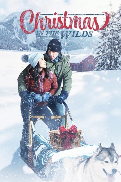 Caratula, cartel, poster o portada de Christmas in the Wilds