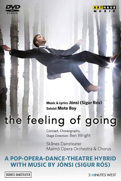 Caratula, cartel, poster o portada de The Feeling of Going