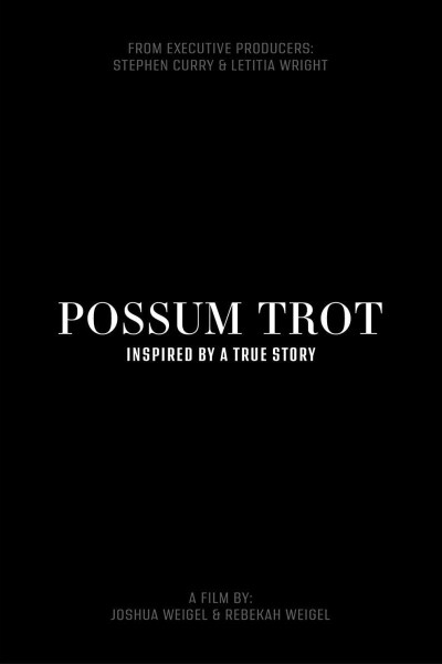 Caratula, cartel, poster o portada de Possum Trot
