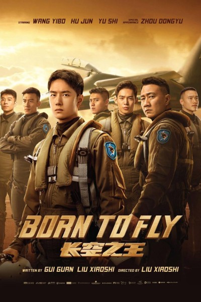 Caratula, cartel, poster o portada de Born to Fly