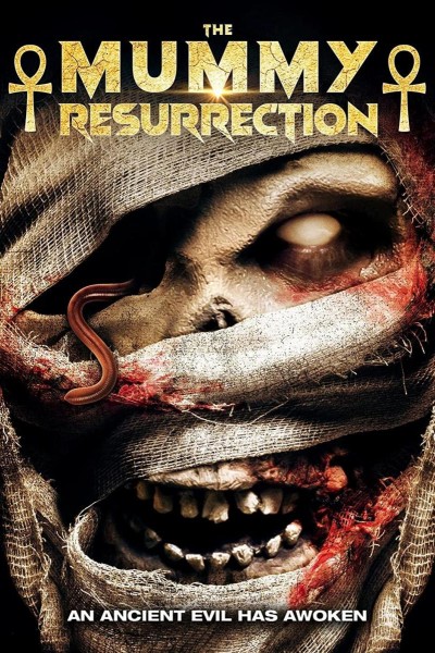 Caratula, cartel, poster o portada de The Mummy: Resurrection