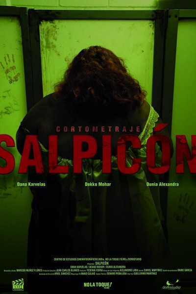 Caratula, cartel, poster o portada de Salpicón