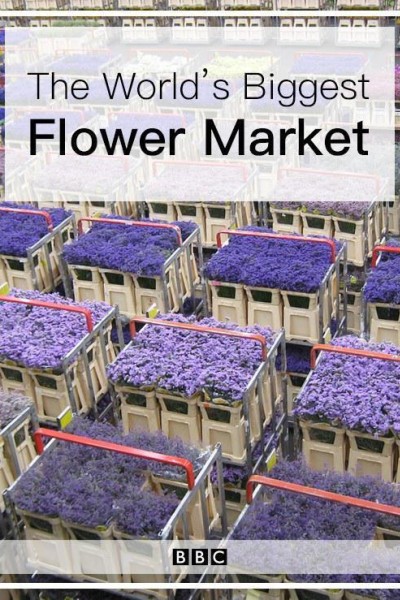 Cubierta de The World\'s Biggest Flower Market