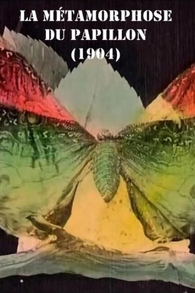 Caratula, cartel, poster o portada de La métamorphose du papillon