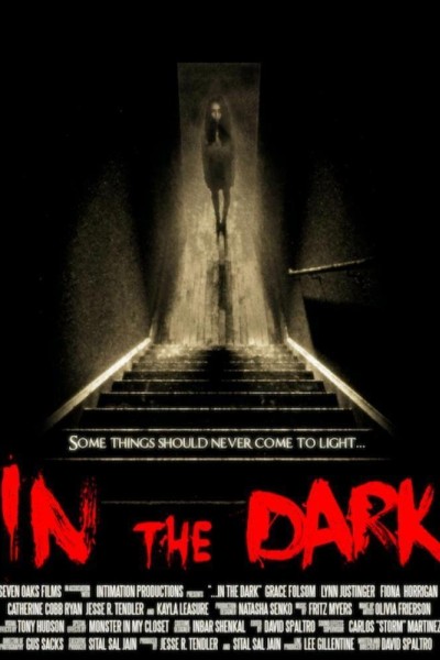 Caratula, cartel, poster o portada de Dark Exorcism
