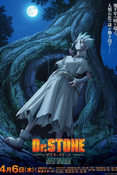 Caratula, cartel, poster o portada de Dr. Stone: New World