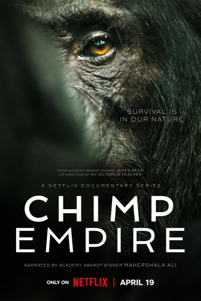 Caratula, cartel, poster o portada de El imperio de los chimpancés