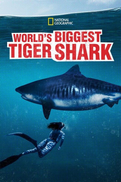 Caratula, cartel, poster o portada de World\'s Biggest Tiger Shark