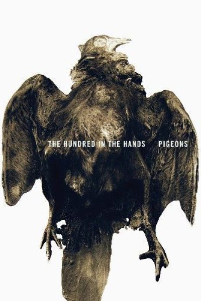 Cubierta de The Hundred in the Hands: Pigeons (Vídeo musical)