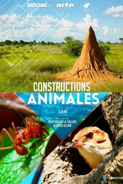 Caratula, cartel, poster o portada de Estructuras animales