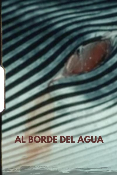 Caratula, cartel, poster o portada de Al borde del agua