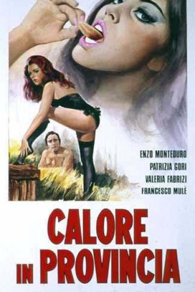 Caratula, cartel, poster o portada de Calore in provincia