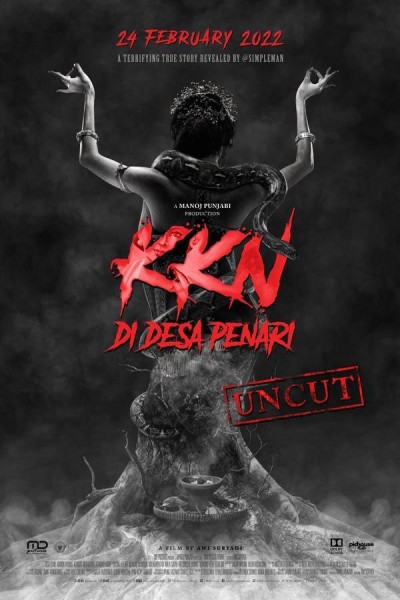 Caratula, cartel, poster o portada de KKN di Desa Penari