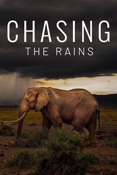 Caratula, cartel, poster o portada de Chasing the Rains