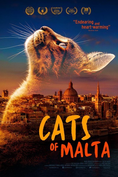 Caratula, cartel, poster o portada de Cats of Malta