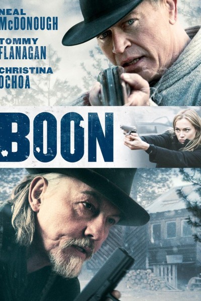 Caratula, cartel, poster o portada de Boon: El protector