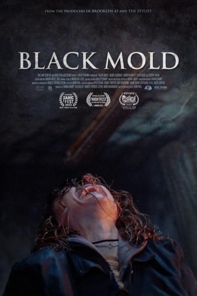 Caratula, cartel, poster o portada de Black Mold