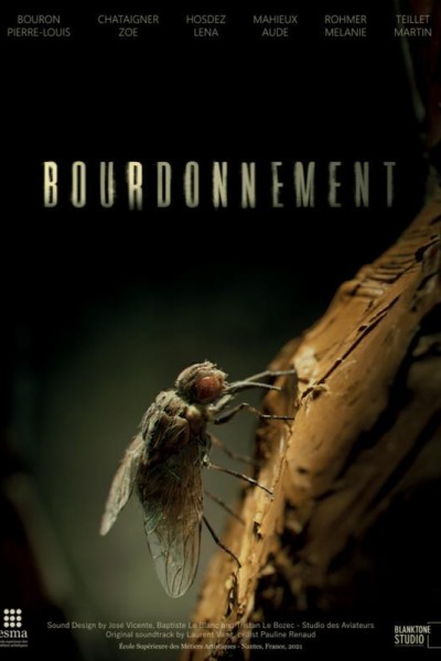 Caratula, cartel, poster o portada de Bourdonnement