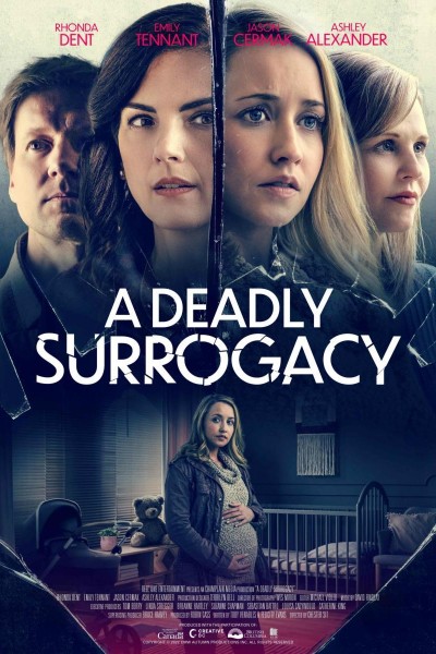 Caratula, cartel, poster o portada de A Deadly Surrogacy