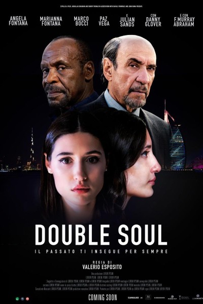 Caratula, cartel, poster o portada de Double Soul