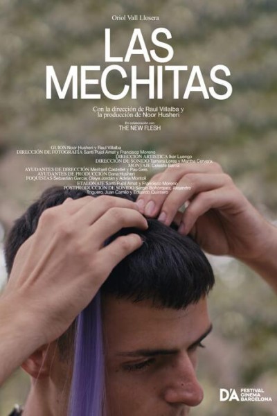 Caratula, cartel, poster o portada de Las mechitas