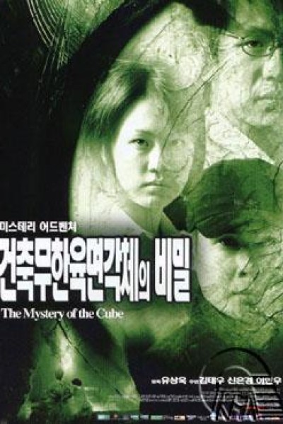 Caratula, cartel, poster o portada de A Mystery of the Cube