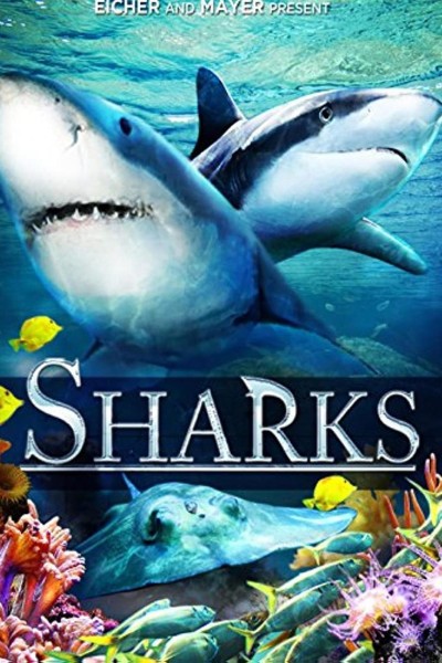 Caratula, cartel, poster o portada de Sharks (in 3D)