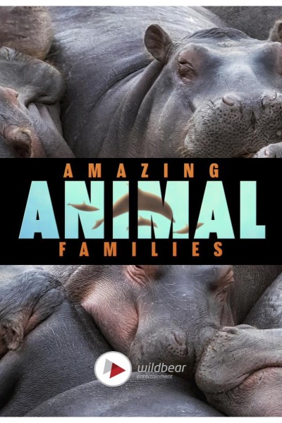 Cubierta de Familias animales asombrosas