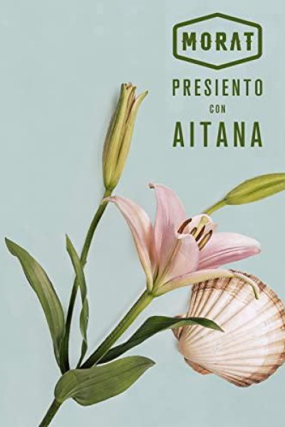 Cubierta de Morat & Aitana: Presiento (Vídeo musical)