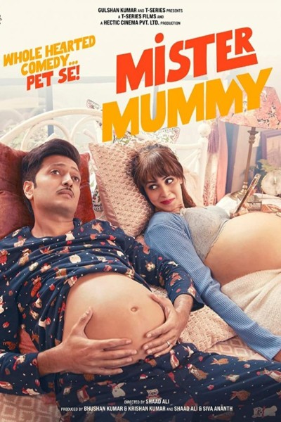 Caratula, cartel, poster o portada de Mister Mummy