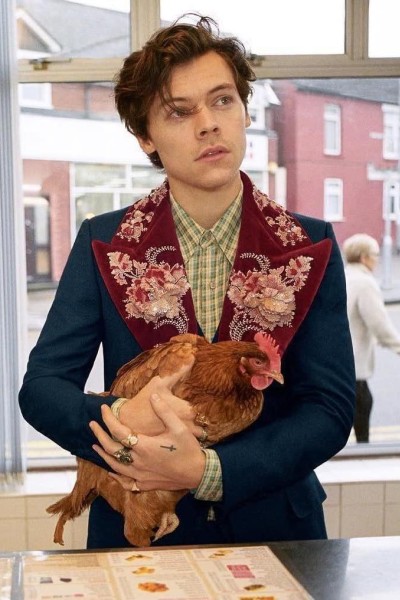 Cubierta de Gucci Men\'s Tailoring Campaign: Harry Styles