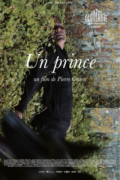 Caratula, cartel, poster o portada de Un prince