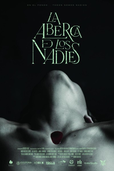 Caratula, cartel, poster o portada de La alberca de los nadies