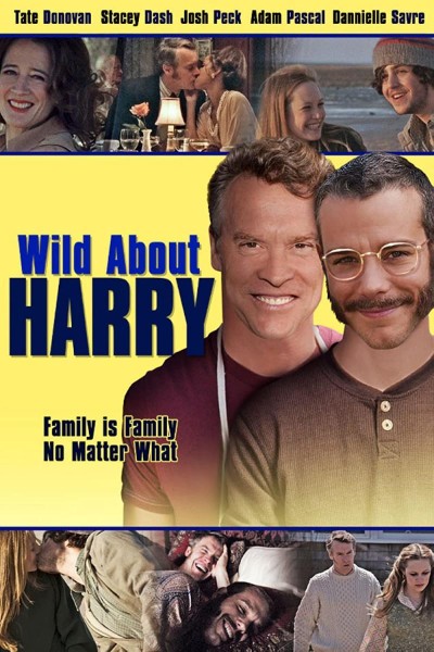 Caratula, cartel, poster o portada de Wild About Harry