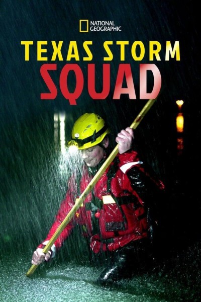 Caratula, cartel, poster o portada de Texas Storm Squad