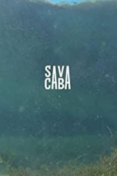 Caratula, cartel, poster o portada de Sava
