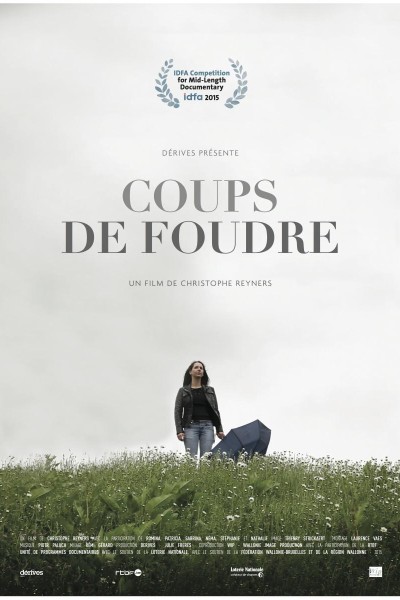 Caratula, cartel, poster o portada de Coups de Foudre
