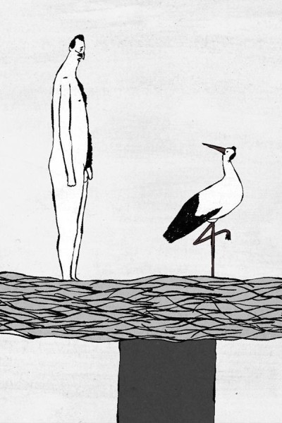 Caratula, cartel, poster o portada de Toonekurg (The Stork)