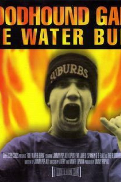 Cubierta de Bloodhound Gang: Fire Water Burn (Vídeo musical)