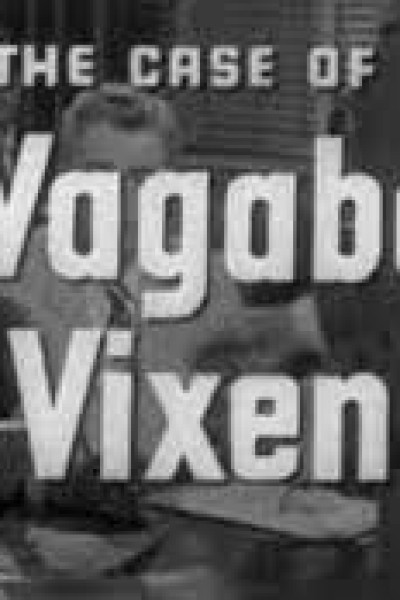 Cubierta de Perry Mason: The Case of the Vagabond Vixen