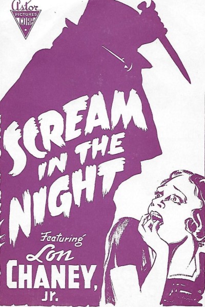 Caratula, cartel, poster o portada de A Scream in the Night