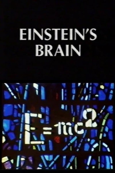 Cubierta de Relics: Einstein\'s Brain