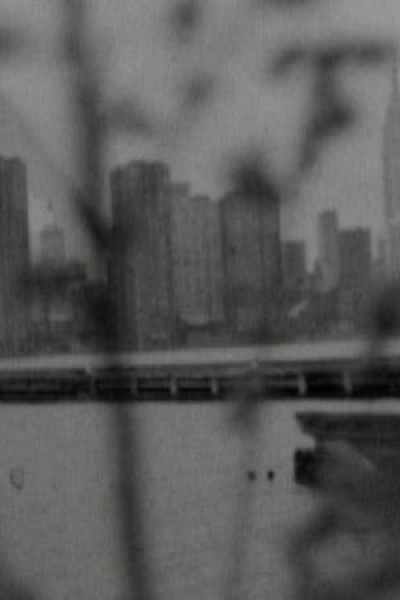 Caratula, cartel, poster o portada de Long for the City (Patti Smith in New York)