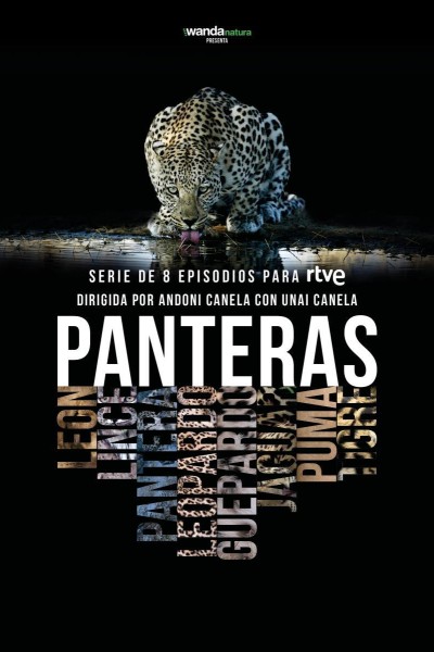 Cubierta de Panteras, la serie