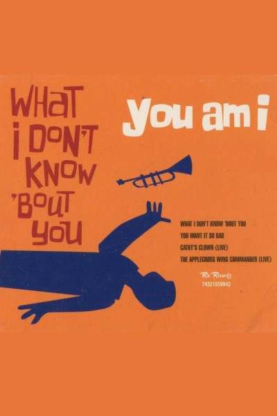 Cubierta de You Am I: What I Don't Know 'Bout You (Vídeo musical)