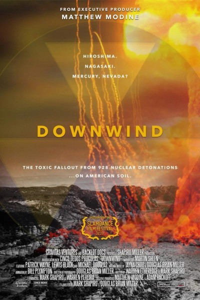 Caratula, cartel, poster o portada de Downwind